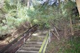 ***Grünes Wohnidyll – Wochenendgrundstück mit viel Raum und Natur pur und Sauna*** - Bild
