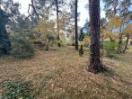 Attraktives Gartengrundstück sucht neuen Besitzer in Mahlow - Bild