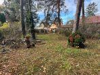 Attraktives Gartengrundstück sucht neuen Besitzer in Mahlow - Bild