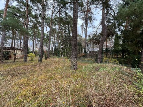 Charmantes Baugrundstück in Mahlow, 15831 Blankenfelde-Mahlow, Wohngrundstück