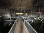 Landwirtschaftlicher Betrieb sucht neuen Inhaber - Bild