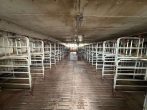 Landwirtschaftlicher Betrieb sucht neuen Inhaber - Bild
