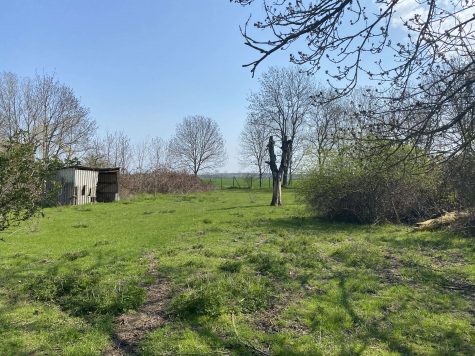 Bauträgerfreies Grundstück nahe Leipzig mit positiver Bauvoranfrage!, 04509 Wiedemar OT Rabutz, Wohngrundstück