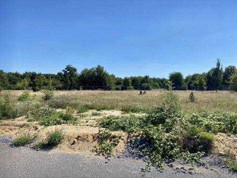 Bauträgerfreies Baugrundstück! Nächstes Jahr im Eigenheim?, 06766 Bitterfeld-Wolfen, Wohngrundstück