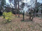 Charmantes Baugrundstück in Mahlow - Bild