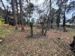 Charmantes Baugrundstück in Mahlow - Bild