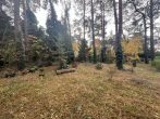 Attraktives Gartengrundstück sucht neuen Besitzer in Mahlow - Grundstück
