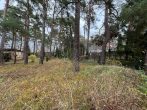 Charmantes Baugrundstück in Mahlow - Bild