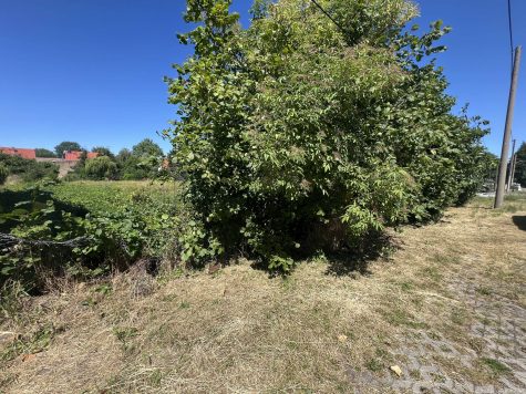 Bauträgerfreies Baugrundstück! Nächstes Jahr im Eigenheim?, 04509 Wiedemar, Wohngrundstück