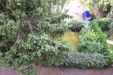Attraktive Vier-Raum Wohnung in Leipzig - Gohlis mit Garten!! - Garten