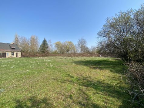 Baugrundstück in Wiedemar mit positiver Bauvoranfrage!, 04509 Wiedemar, Wohngrundstück