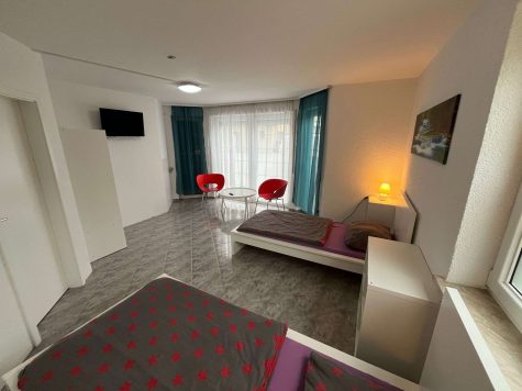 Ihre neue Aufgabe? Apartmentvermietung nahe Landsberg!, 06188 Landsberg OT Queis, Mehrfamilienhaus