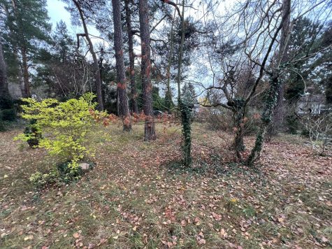 Charmantes Baugrundstück in Mahlow, 15831 Blankenfelde-Mahlow, Wohngrundstück