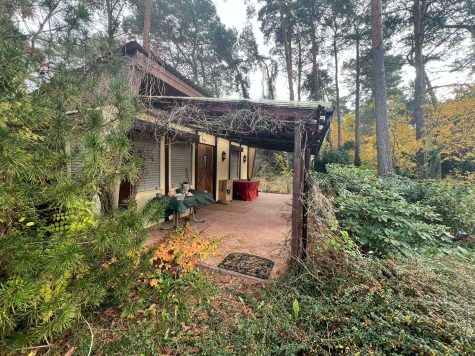 Attraktives Gartengrundstück sucht neuen Besitzer in Mahlow, 15831 Blankenfelde-Mahlow, Wohngrundstück